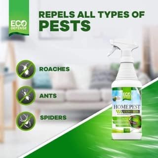 Pest Control Spray for Home, Insect Killer for Ants and Roaches - 1 Gallon