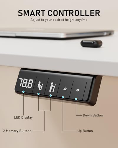 40" Small Electric Standing Desk Adjustable Height for Home Office