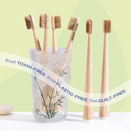Boar Bristle Bamboo Toothbrush, Made from Natural Boar Hair Bristles, Plastic-Free (Pack of 6)