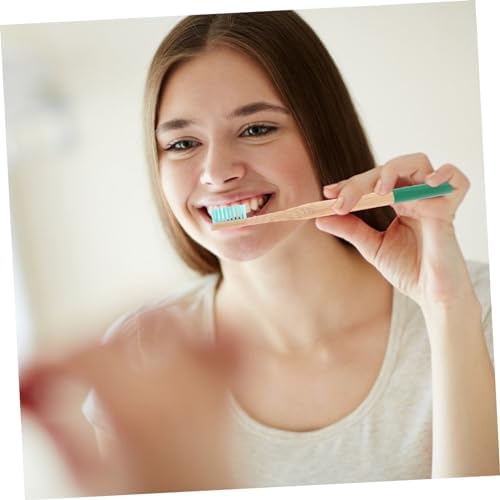Healeved Sustainable Toothbrush Set Bamboo Storage Case 3 Disposable Toothbrushes Compact Travel Kit Random Color