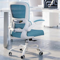 TRALT Office Chair - Ergonomic Desk Chair with Adjustable Lumbar Support, Mesh Computer Chair, Executive Chair for Home Office Comfortable Lumbar Support (1, Sky Blue)