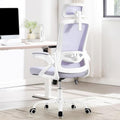 Fizzin Office Chair Mesh Computer Chairs with Adjustable Lumbar Support