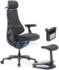 LiberNovo Omni PRO Dynamic Ergonomic Office Chair, Built-in Fan, 48cm