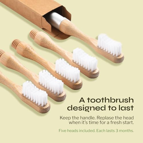 The Solo Toothbrush, Aluminum Handle Bamboo Toothbrush with Replaceable Bamboo Heads, 100% Plant-Based Castor Oil Bristles, No Nylon Bristles, Plastic-Free Handle, Natural Toothbrush for Adults