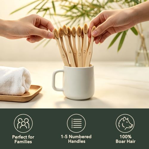 Gaia Guy Boar Bristle Bamboo Toothbrushes – 10 Pack Natural Bristle Toothbrush Set, Plastic-Free & Nylon-Free, Numbered Bamboo Handles, Medium Boar Hair Bristles for Adults & Families
