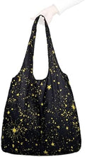 Nanobag Standard 19L Tote Foldable Packable Reusable Grocery Shopping Bag