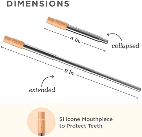 Zoku Reusable Metal Straw with Case, Collapsible Travel Straw - Orange