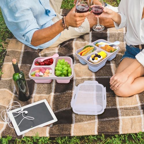 2 Pack Big Collapsible Silicone Bento Lunch Boxes With Lids spoons forks,3 Compartments, Divided Lunch Food Storage Containers, Safe in Microwave, Dishwasher and Freezer, 45.6oz, (Pink+Blue)