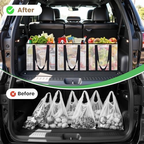 Reusable Grocery Bags, Clear Shopping Bags, 4 Pack, 33L
