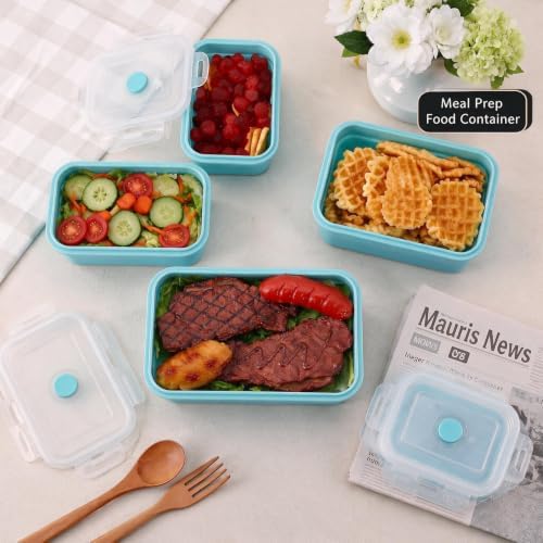 4Pcs Collapsible Food Storage Containers with Lid,Blue Square,4Size