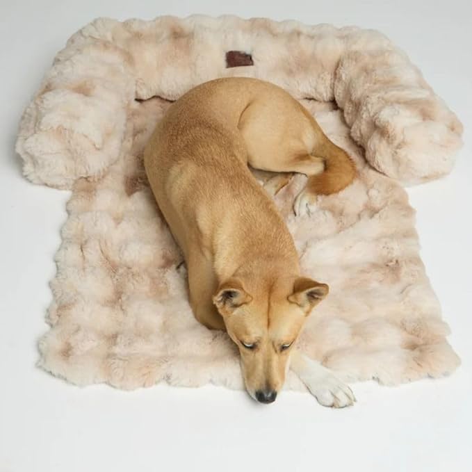 Dream Cloud Pet Sofa Bed – Washable, Waterproof, and High Comfort, Non-Slip Orthopedic Plush Dog Mat for Sofa, Car & Floor (Cappuccino, X-Large)