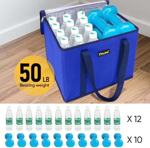 BALEINE 1PK Insulated Reusable Grocery Bag, Heavy Duty Shopping Tote