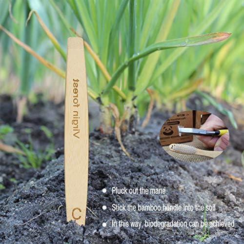Virgin Forest Bamboo Toothbrushes 6pk, Charcoal Bristles BPA Free Eco