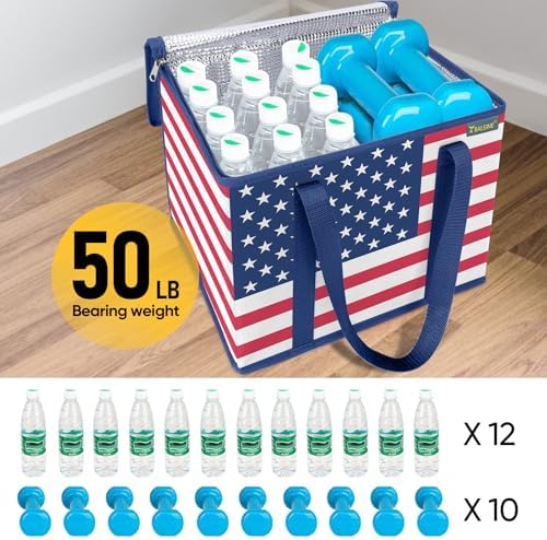 BALEINE 1PK Insulated Reusable Grocery Bag, Heavy Duty Shopping Tote