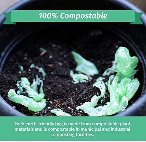 Reli. Compostable 33 Gallon Trash Bags | 80 Count Bulk | Green