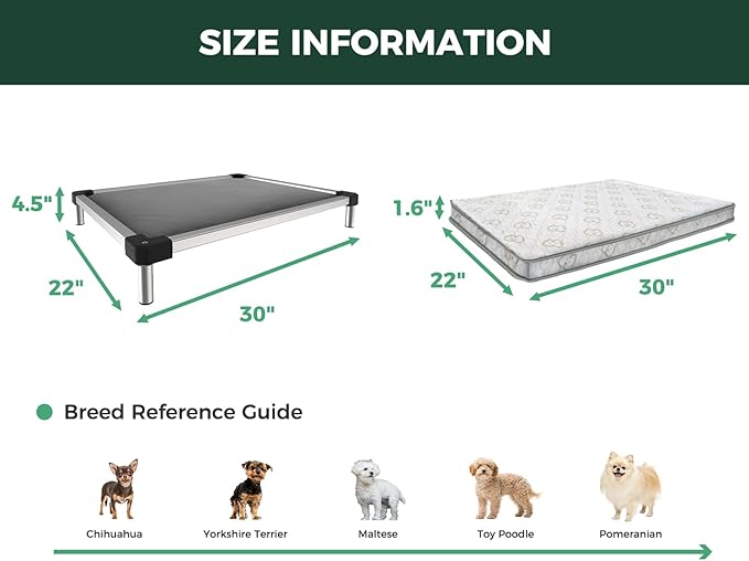FXW TitanNest Chew-Proof Elevated Dog Bed, Raised Cot for Indoor/Outdoor/Camping Use, Durable & Washable Padded Pet Bed with Exclusive Cover for Extra-Small Dogs, 30.0" L x 22.0" W x 4.5" H, Gray