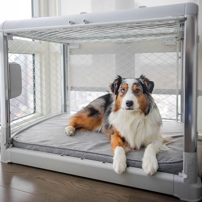 Diggs Snooz Memory Foam Dog Bed - Ideally Sized Revol Dog Crate Pad - Premium Orthopedic Pet Bed for Crate or Home - Grey, Intermediate