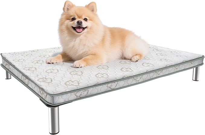 FXW TitanNest Chew-Proof Elevated Dog Bed, Raised Cot for Indoor/Outdoor/Camping Use, Durable & Washable Padded Pet Bed with Exclusive Cover for Extra-Small Dogs, 30.0" L x 22.0" W x 4.5" H, Gray