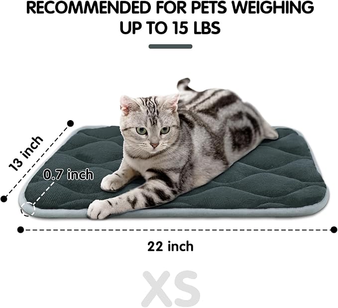 furrybaby Dog Bed Mat Flat Crate Mat with Anti-Slip Bottom Machine Washable Pet Kennel Pad for Dog Sleeping (XS 22x13'', Grey Mat)