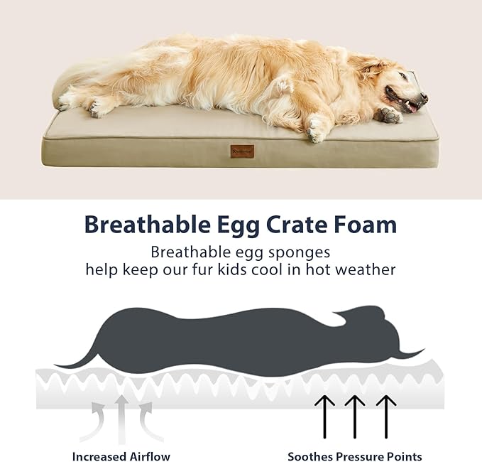 BFPETHOME Outdoor Dog Beds for Large Dogs, Waterproof Dog Bed for Medium, Large, Extra Large Dogs, Orthopedic Pet Bed with Removable Washable Cover, Egg Crate Foam Pet Bed Mat. (42 x 30in, Beige)