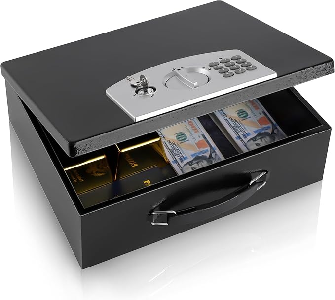 Dalmbox Portable Metal Safe Box