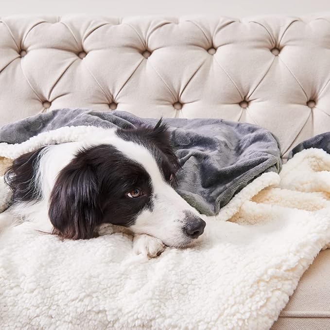 Qeils Waterproof Blanket for Bed Intimacy, Dog Blankets for Large Dogs, Waterproof Cat Blanket Washable, Soft Sherpa Fleece Puppy Blanket, Reversible Throw Protector for Couch Car, 50"X60", Dark Grey
