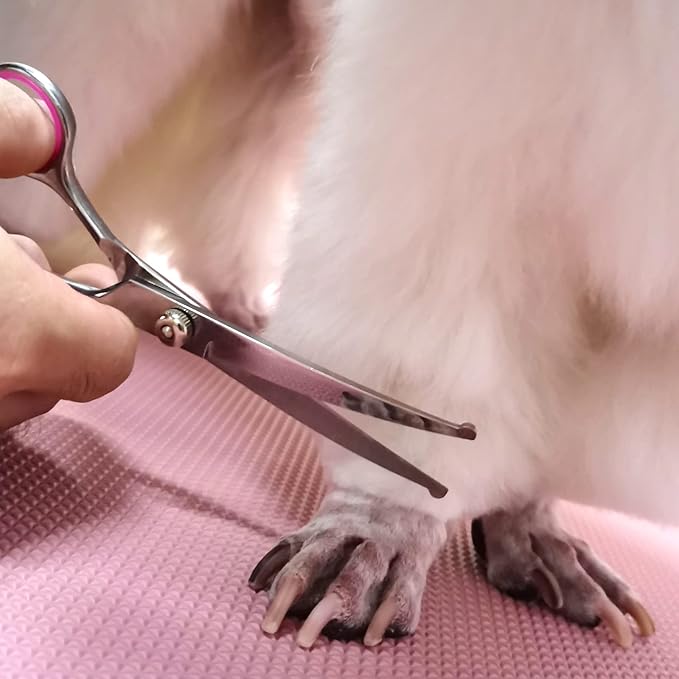 FAIGEO Dog Grooming Scissors with Safety Round Tips Stainless Steel Professional Dog Grooming Kit - Thinning, Curved Scissors and Comb for Cat Pet (Pink 4 in 1)