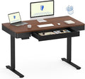 FLEXISPOT Q5 Standing Desk