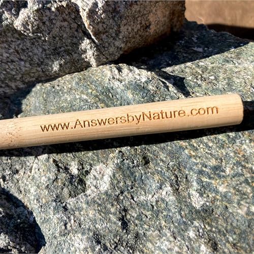 Adult Natural Bristle Toothbrush [4-Pack], Castor Bristles, 100% Biodegradable, Plant Based Bristles and Bamboo Handle