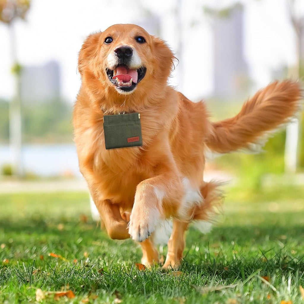 2PC Dog Treat Pouch,Dog Training Treat Reward Bag,Portable Puppy Hand Free Dog Walking Bag,Auto Closing Dog Food Dispenser,Behavior Aids for Puppy Travel or Outdoor(Green Khaki)