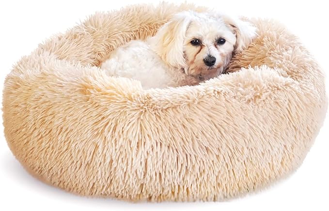 Whiskers & Friends Cat Bed Dog, Cat Beds for Indoor Cats Washable, Orthopedic Soft Fluffy Round Calming Pet Bed for Small to Large Kitty Kittens & Dogs, Small Dog Beds & Furniture