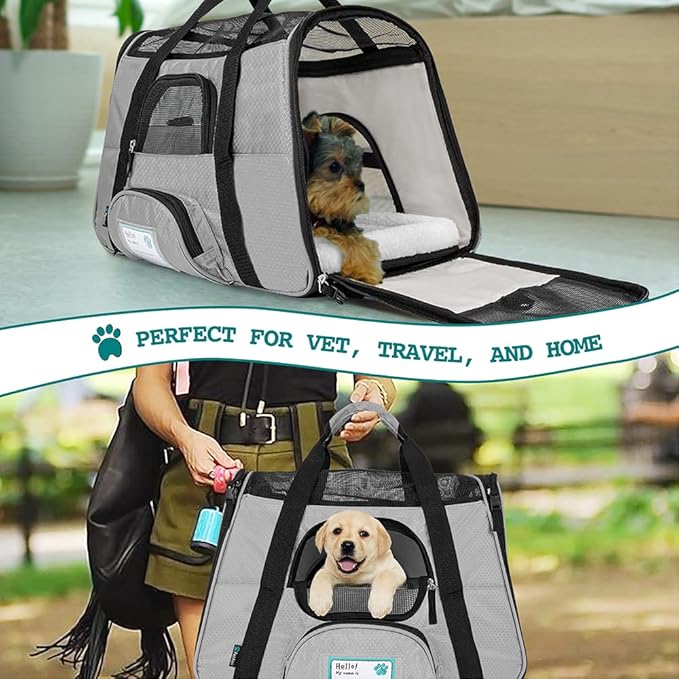 PetAmi Airline Approved Pet Carrier for Cat, Soft Sided Dog Carrier for Small Dogs, Cat Travel Supplies Accessories for Indoor Cats, Ventilated Pet Carrying Bag Medium Large Kitten Puppy, Small Gray