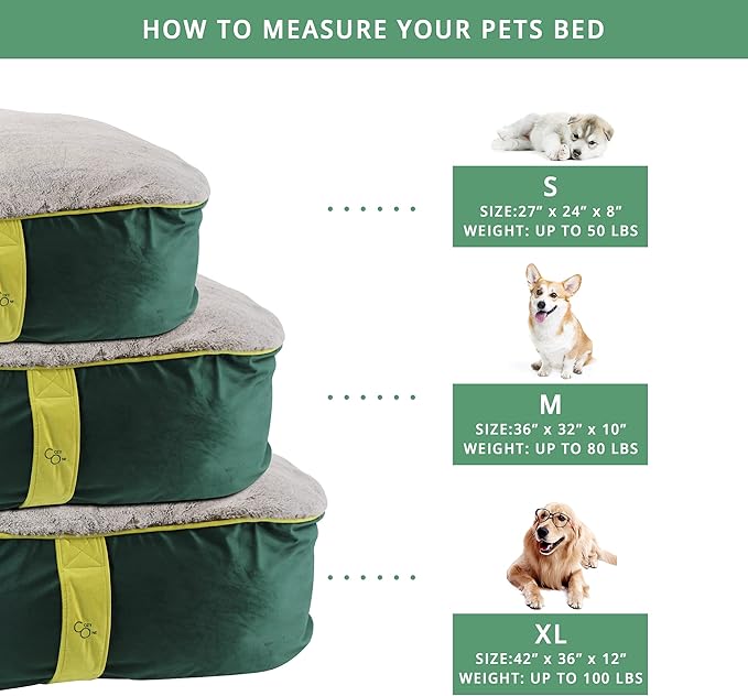 CozyOne Mia Collection Self-Warming Oval Dog Bed - Ultra-Soft Plush Dream Pet Bed with Removable Velvet Cover- Cozy Dog Beds for Medium Dogs (36x32x10 Inch, Green) - Made in USA