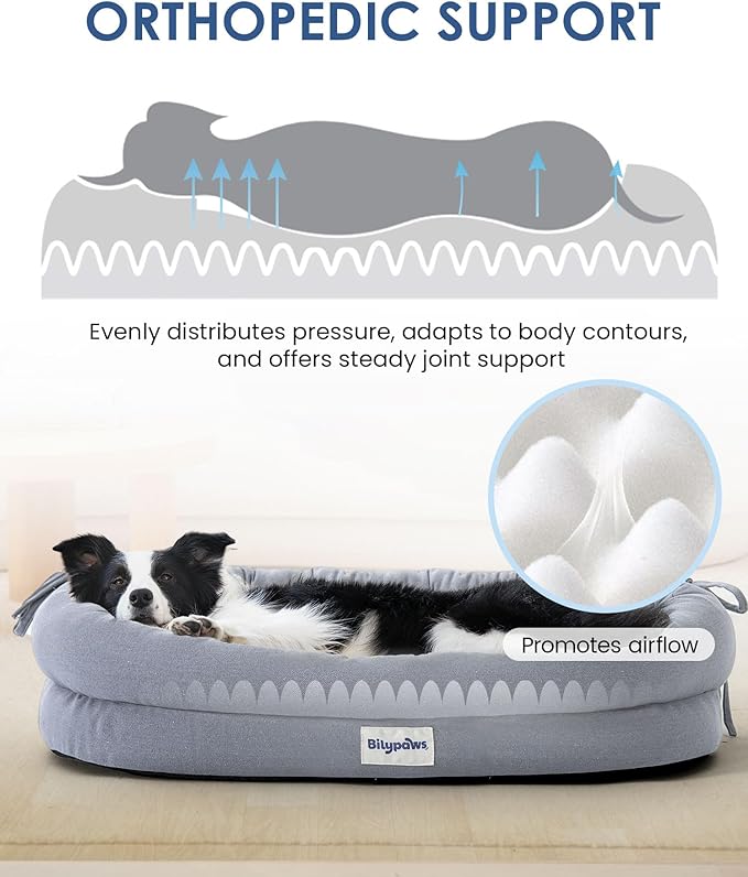 bilypaws Orthopedic Dog Bed for Large Dogs, Pet Sofa Bed with Egg Crate Foam, 4-Sided Bolster, Removable Washable Cover & Anti-Slip Bottom, XX-Large Gray