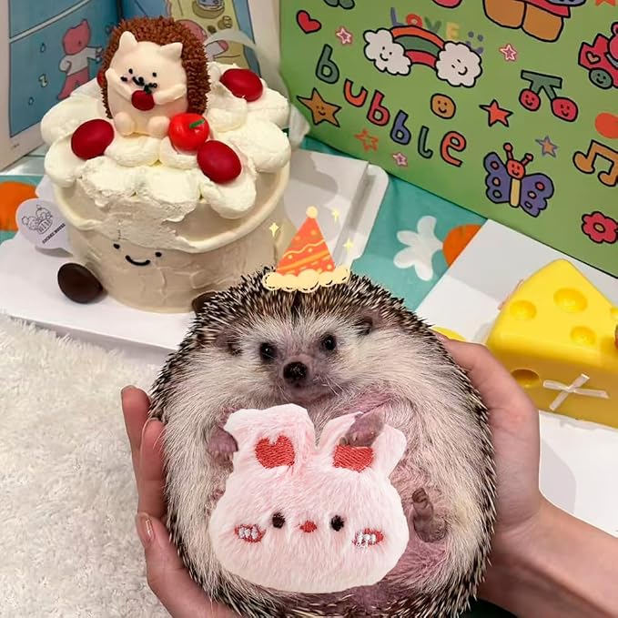 10 Pcs Hedgehog Pet Toys Small Animal Accessories for Hedgehogs Enrichment Toys Cage Ball Bell Toy Hedgehog Supplies Exercies Interactive Plush Toy