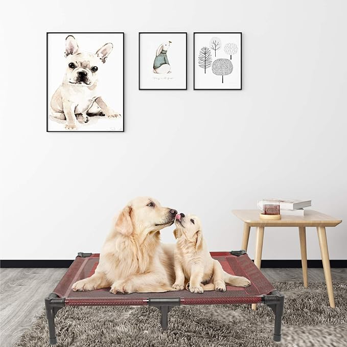 suddus Elevated Dogs Bed Waterproof Outdoor, Portable Raised Dog Cot, Dog Beds Off The Floor, Dog Beds Easy Clean Indoor or Outdoor Use, Large, Red