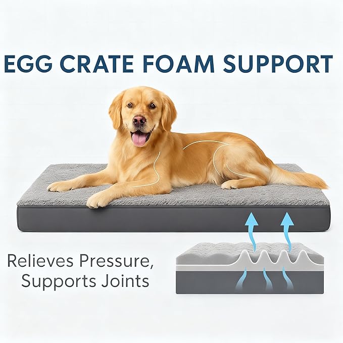 RichePet Dog Bed with Waterproof Inner Liner, Removable Cover, Egg Crate Foam Dog Beds, Easy to Clean，30×20Inch，Gray