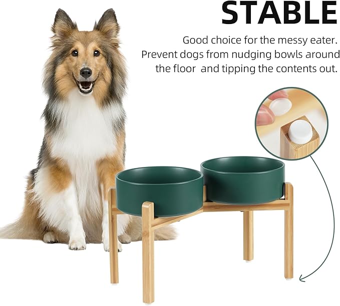 Ceramic Raised Double Bowls Set