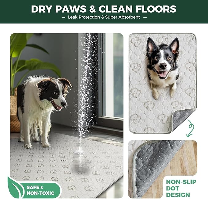 FXW Washable Pee Pads for Dogs, Leak-Proof & Non-Slip, Specifically Designed for Potty Training, 39" Square, Khaki, 1 Pack