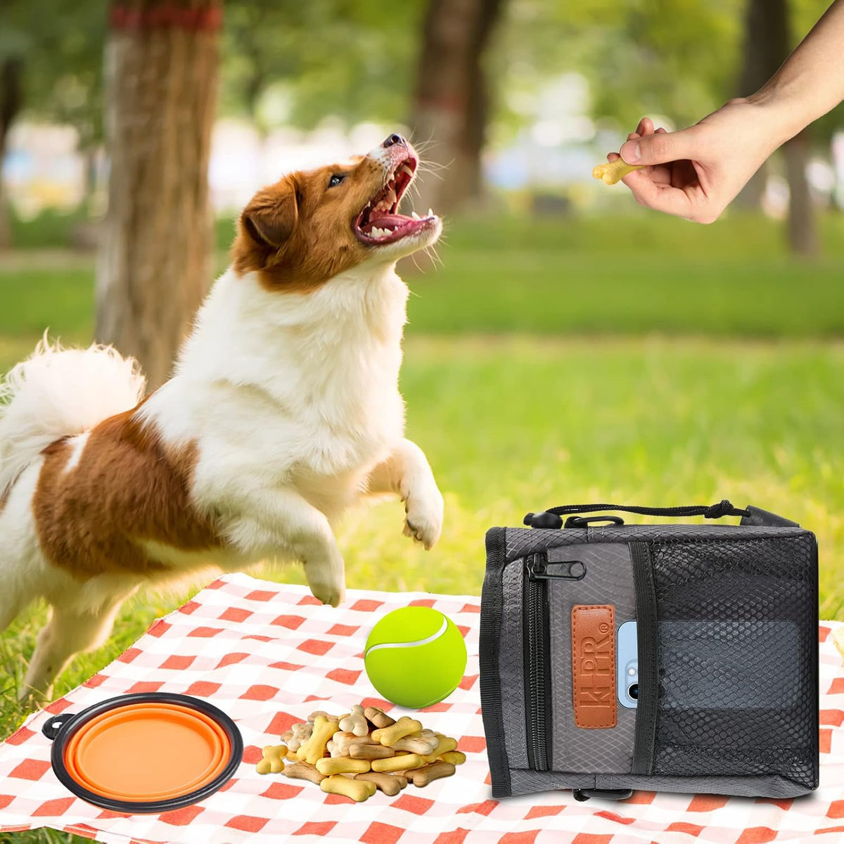 Dog Treat Training Pouch Easily Carries Pet Toys Kibble,Treats Built-in Poop Bag Dispenser 3 Ways to Wear Comes with a Foldable Silicone Bowl(Dark Grey)