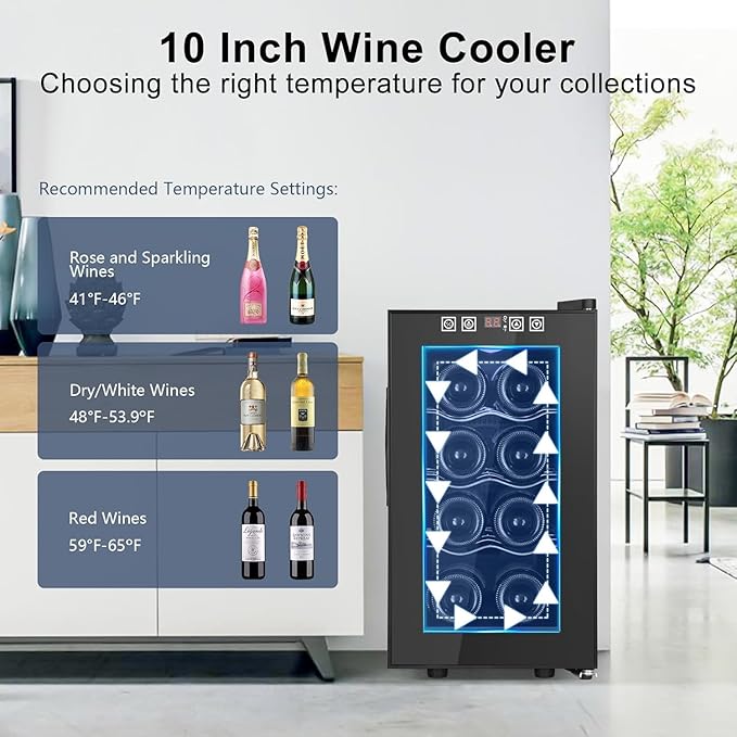 8 Bottles Wine Cooler Refrigerator, Small Wine Fridge, Mini Wine Fridge
