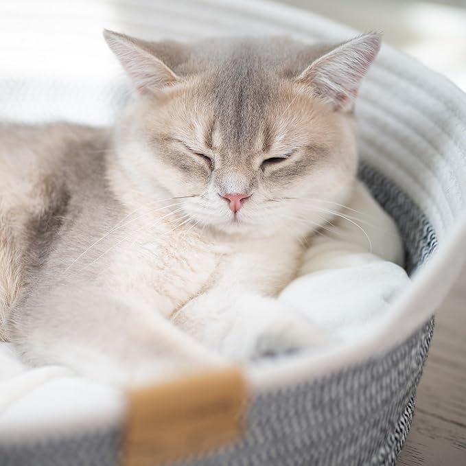 CHEERHOME PETS Cat Bed Basket with Cushion, Cute Pet Bed for Indoor Cats Couch, Kitten Bed for Medium and Large Cat, All Season Universal (Grey)