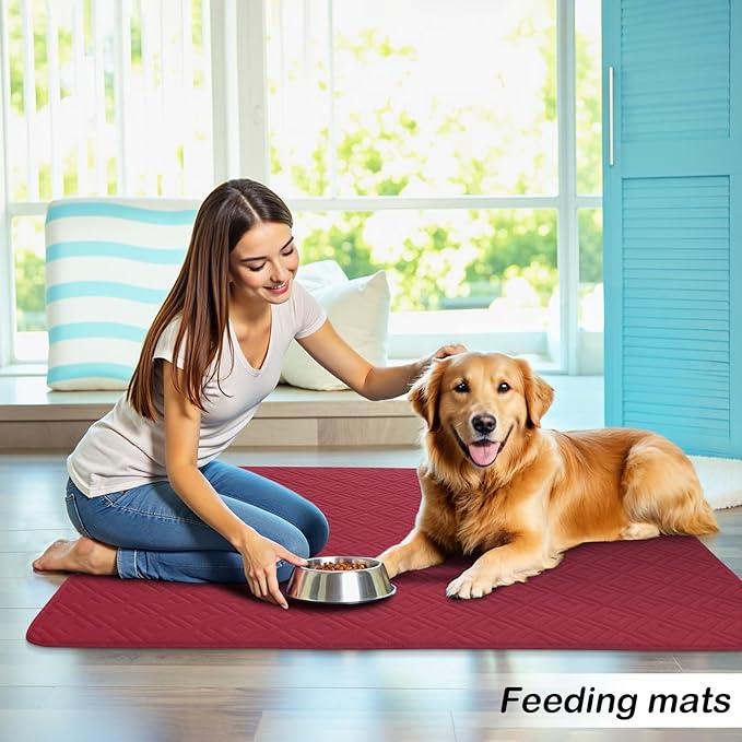 hyha Waterproof Dog Blanket, Soft Dog Bed Cover Pet Blankets, Waterproof Sofa Couch Cover for Dogs Washable, Reversible Pet Couch Covers for Sofa Furniture (30x53 Inch, Wine Red/Beige)