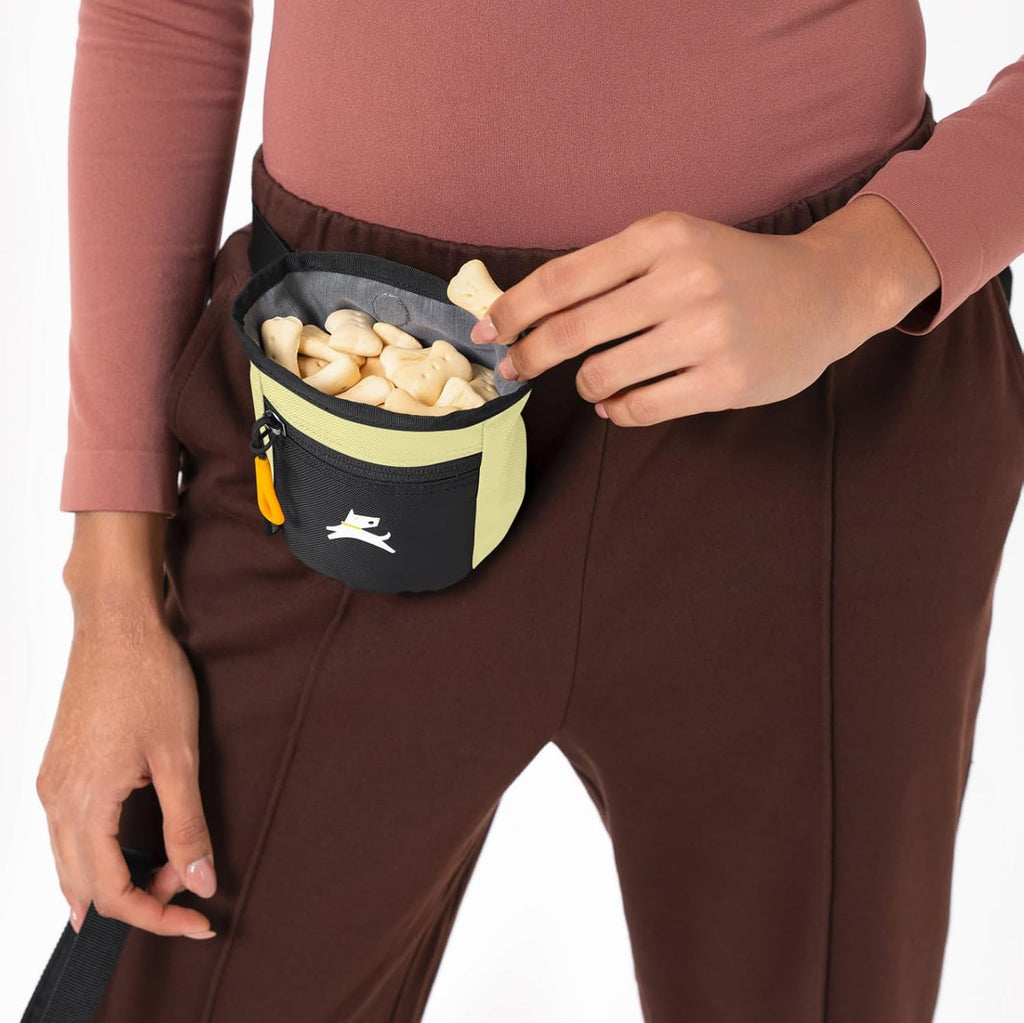 OllyDog Goodie Treat Bag, Dog Treat Pouch, Waist Belt Clip for Hands-Free Training, Magnetic Closure, Dog Training and Behavior Aids, Three Ways to Wear (Sol)