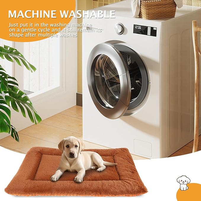 Vetasac Reversible Dog Bed Mat with Plush and Corn Velvet,Soft Warm Pet Cushion, Dual Purpose Washable Sleeping Mattress Bed for Small Medium Large Dog and Cat XB004 (30"x20", Orange)
