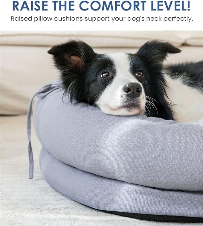 bilypaws Orthopedic Dog Bed for Large Dogs, Pet Sofa Bed with Egg Crate Foam, 4-Sided Bolster, Removable Washable Cover & Anti-Slip Bottom, XX-Large Gray