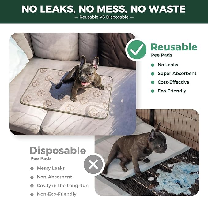 FXW Washable Pee Pads for Dogs, Leak-Proof & Non-Slip, Specifically Designed for Potty Training, 35" Square, Khaki, 1 Pack