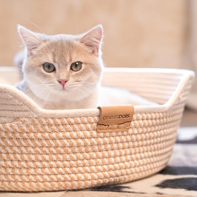 CHEERHOME PETS Cat Bed Basket with Cushion, Cute Pet Bed for Indoor Cats Couch, Kitten Bed for Medium and Large Cat, All Season Universal (White)