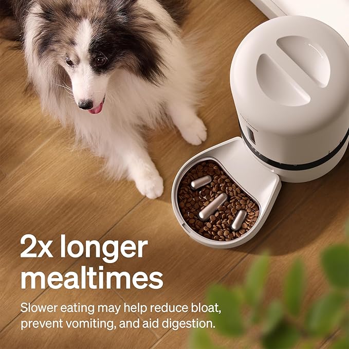 PETLIBRO Automatic Cat Feeder
