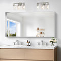 Silver Bathroom Mirror, 24x48 Inch Rectangular Framed Mirror, Large Wall